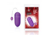 Фиолетовое 10-функциональное виброяйцо Royal Purple