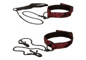 Набор для эротических игр Scandal Submissive Kit